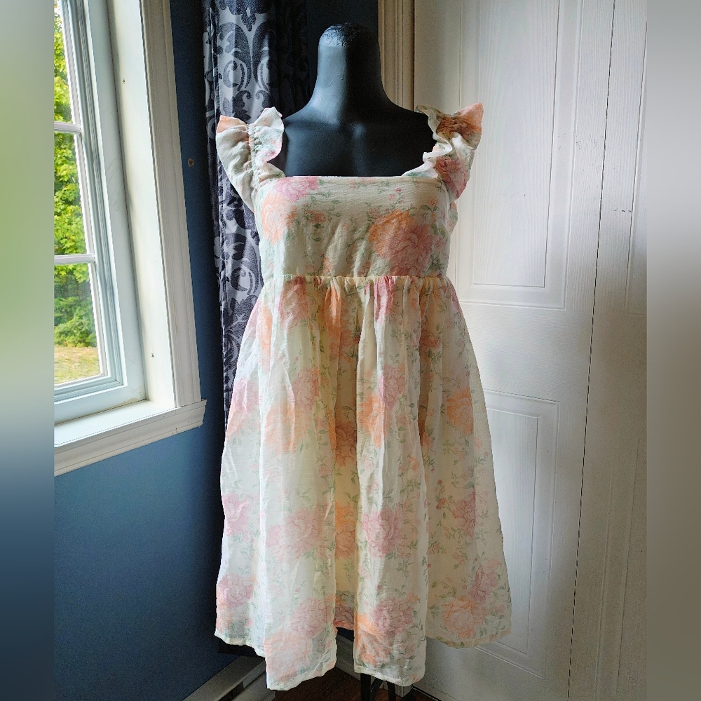 BNWT Babydoll Dress with Ruffled Sleeves by Divided